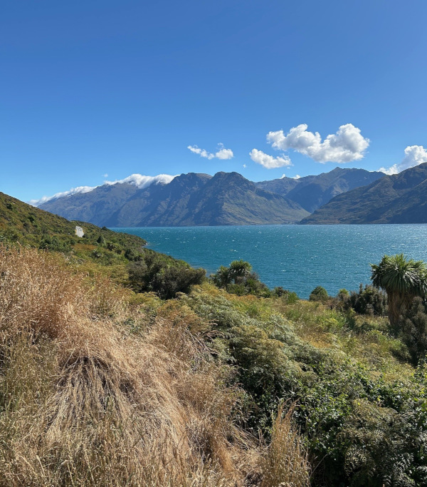 Near Kingston New Zealand